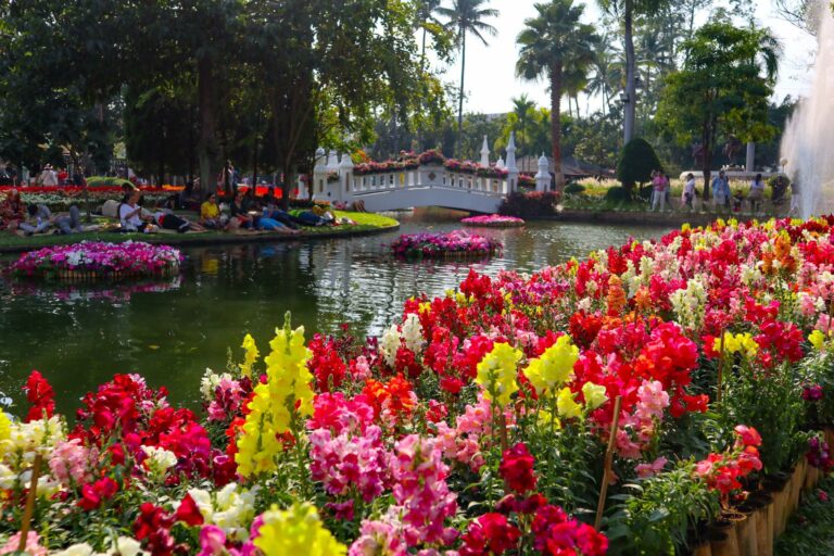 The Chiang Mai Flower Festival – A Must-See!