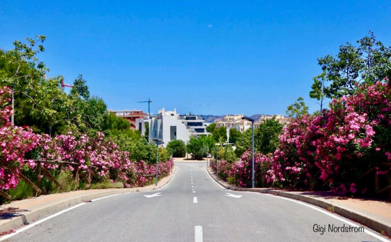 The Beauty of Visiting Spain in Springtime