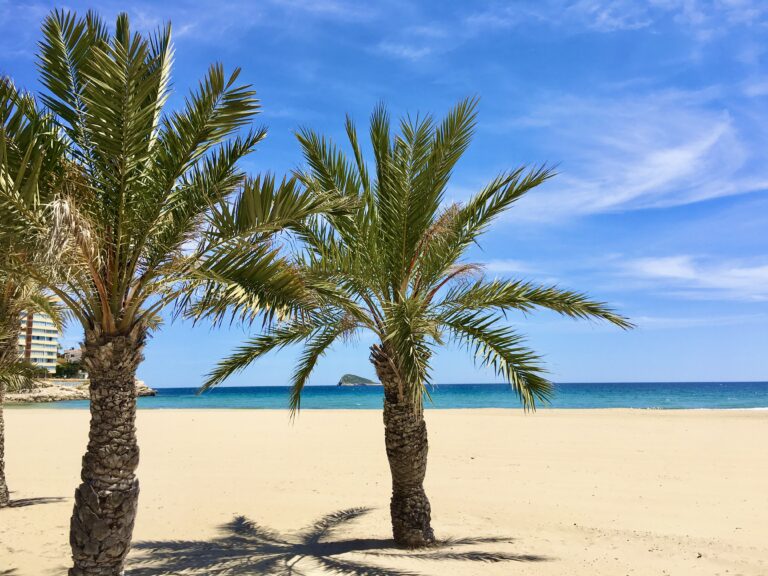 Spain in the Summer: What to Expect and How to Prepare