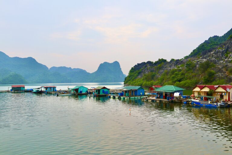 Exploring the Enchanting Beauty of Hạ Long Bay