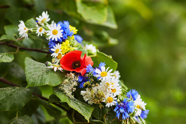 Celebrating Swedish Midsummer in Sweden Like a Local
