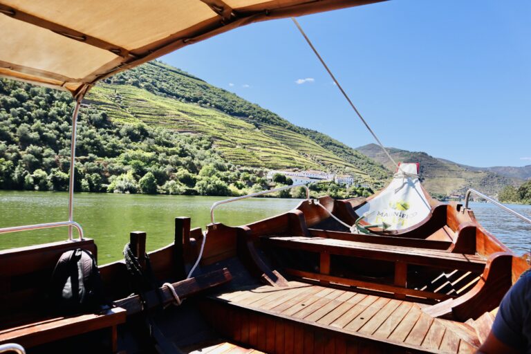 The Perfect Day Experience: Douro Valley Boat Tour and Wine Tasting